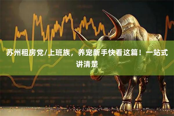 苏州租房党/上班族，养宠新手快看这篇！一站式讲清楚