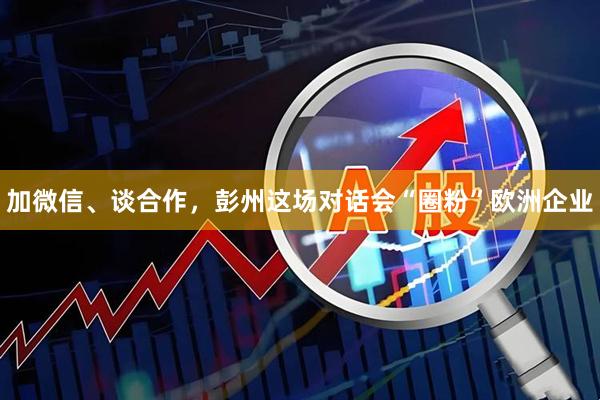 加微信、谈合作，彭州这场对话会“圈粉”欧洲企业